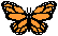 Fly free like the butterflies!