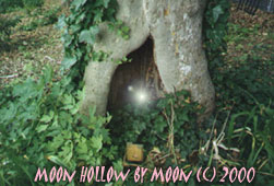 Proof that Faerys exsist Faery light discovered Spring 1998
Brooklyn, NY = photo by Moon