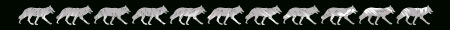 Wolfbar (c)2000 Moon