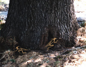 Oak tree creatures, Photo by Moon