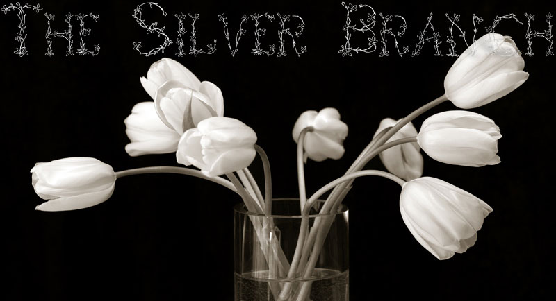 Welcome to The Silver Branch